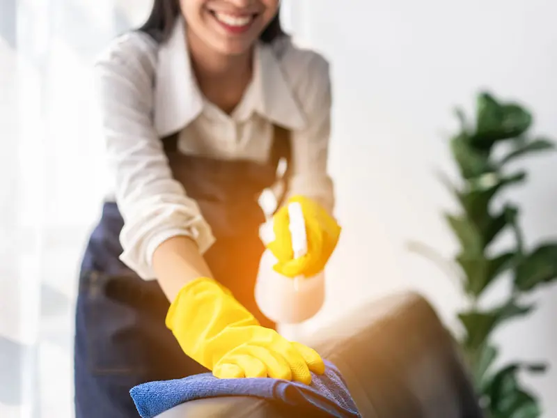 Flow Cleaning Services