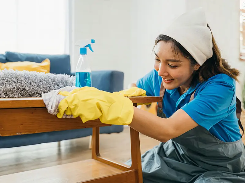 Flow Cleaning Services