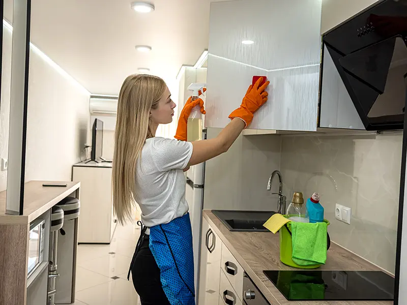 Flow Cleaning Services
